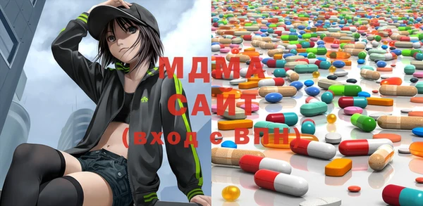 хмурый Арсеньев