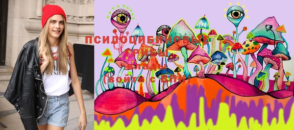 хмурый Арсеньев