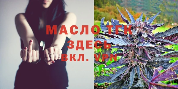 хмурый Арсеньев