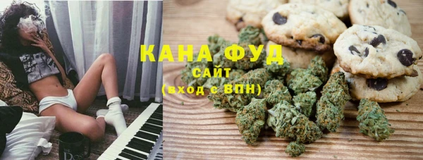 хмурый Арсеньев