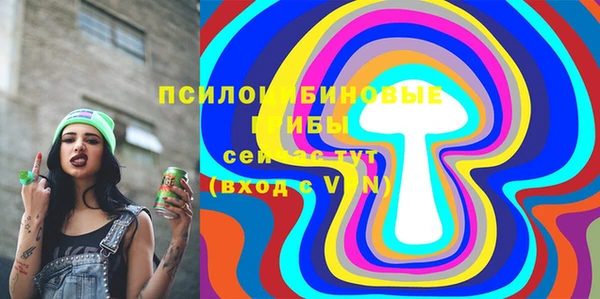 хмурый Арсеньев