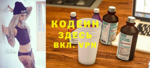 хмурый Арсеньев