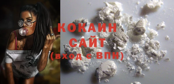 тгк Алзамай