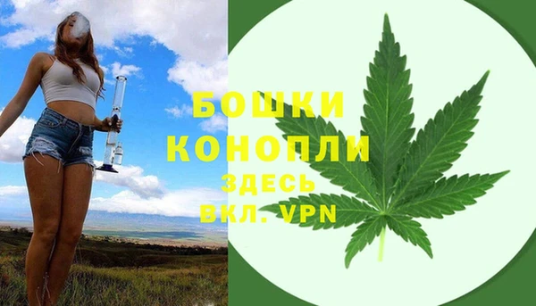 хмурый Арсеньев
