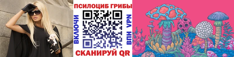 Галлюциногенные грибы MAGIC MUSHROOMS  где купить наркоту  Лагань 
